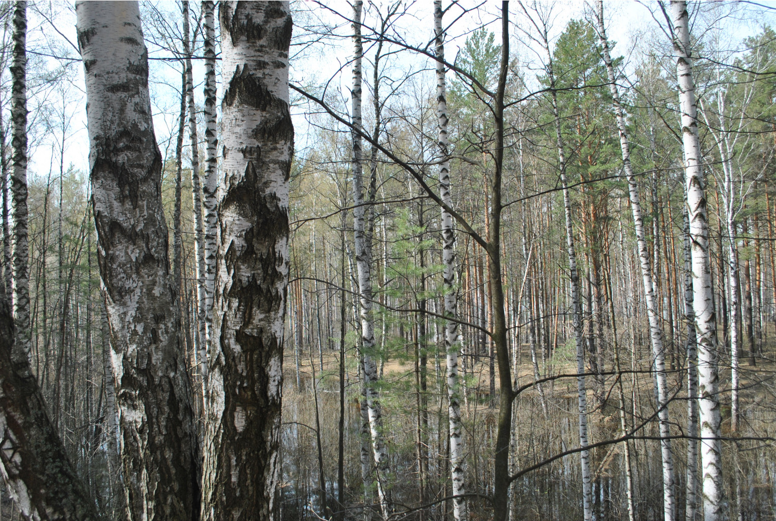DSC_0828.jpg