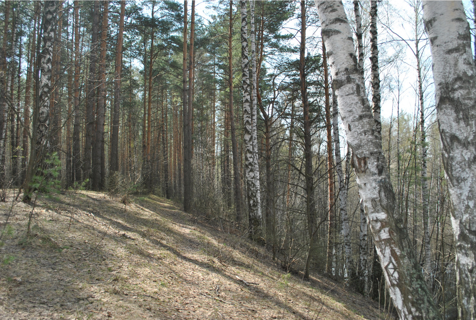 DSC_0829.jpg