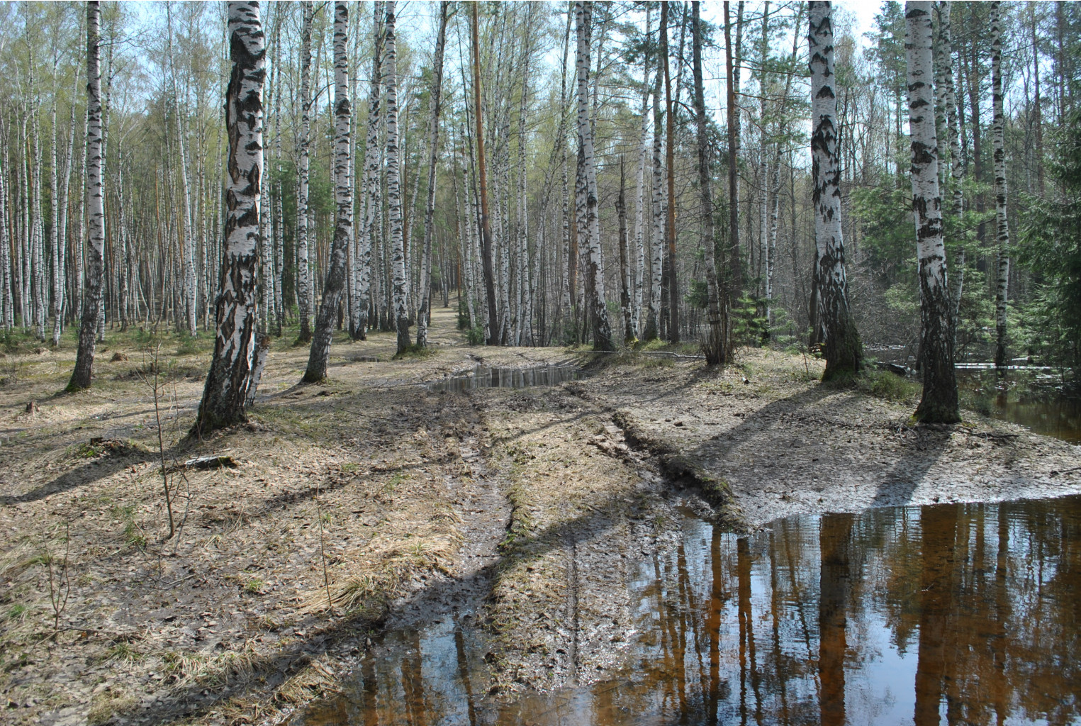 DSC_0830.jpg