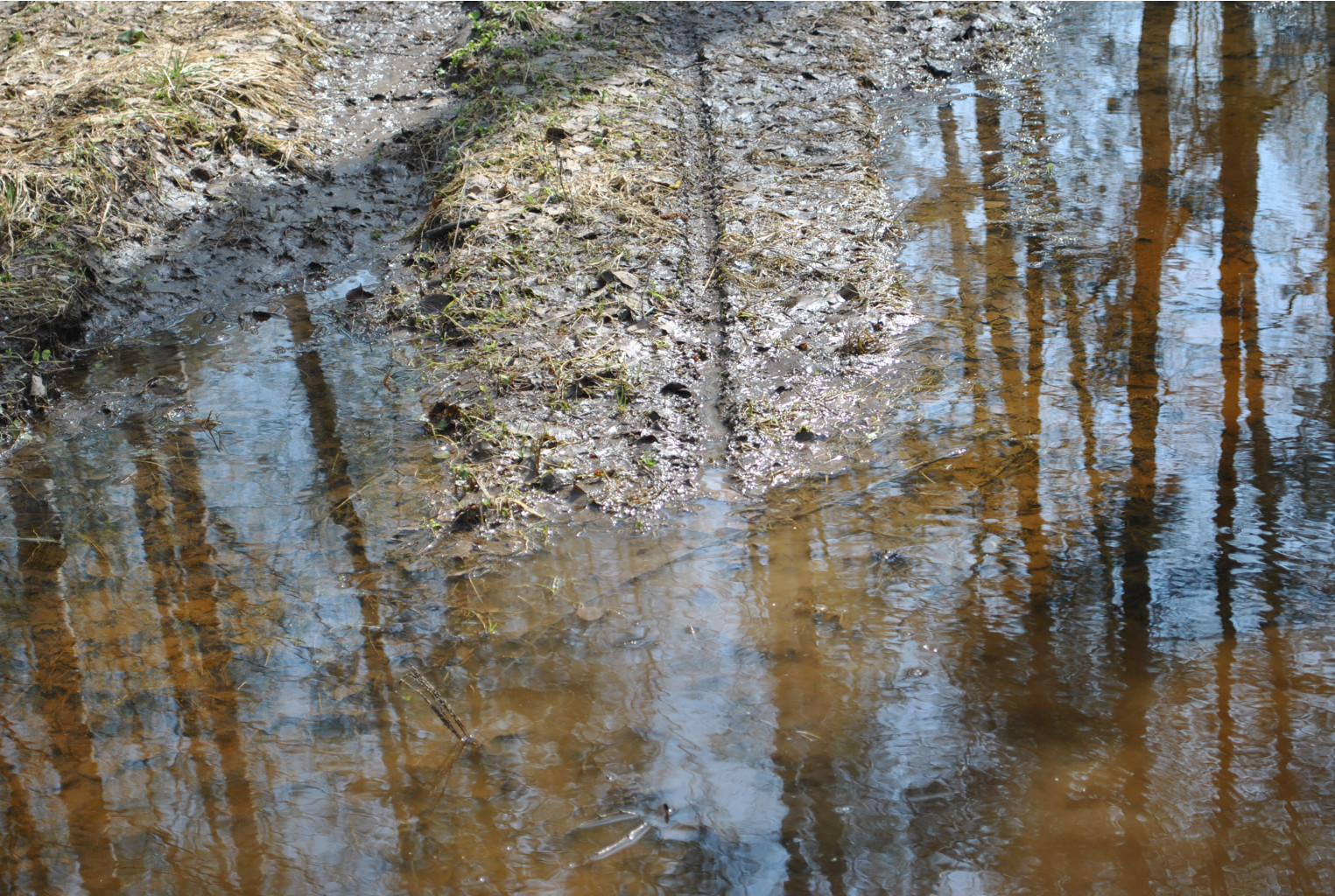 DSC_0831.jpg