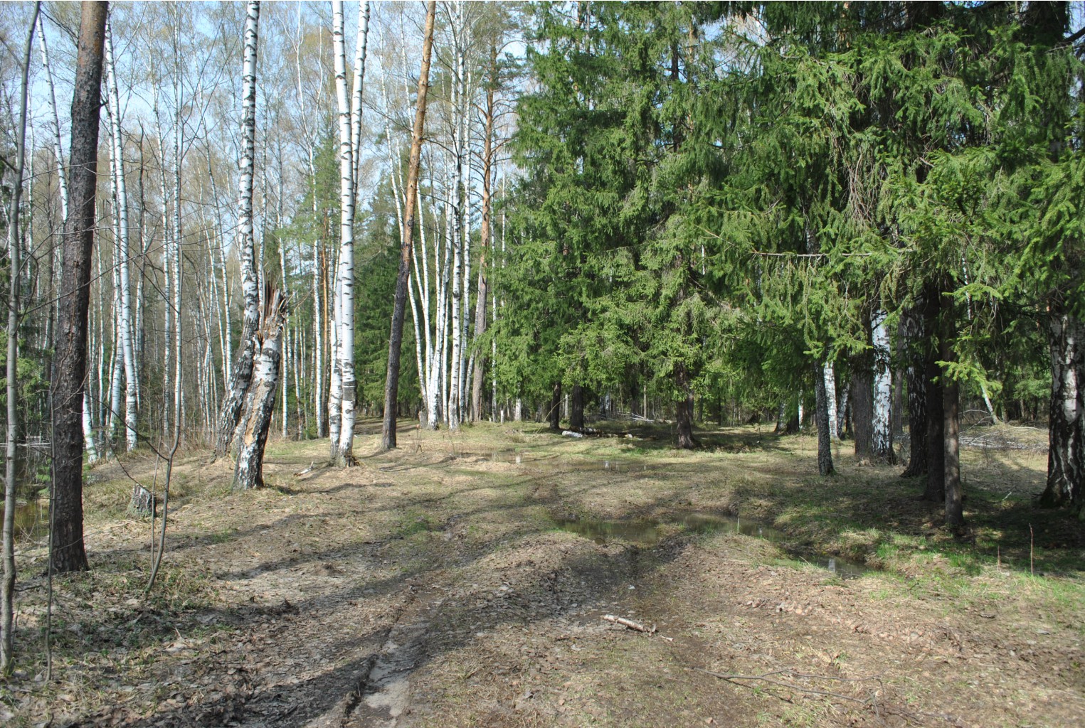 DSC_0836.jpg