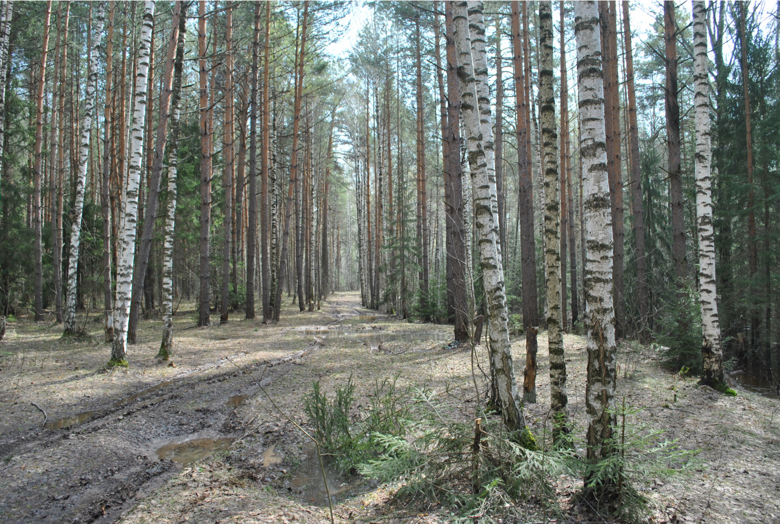 DSC_0842.jpg