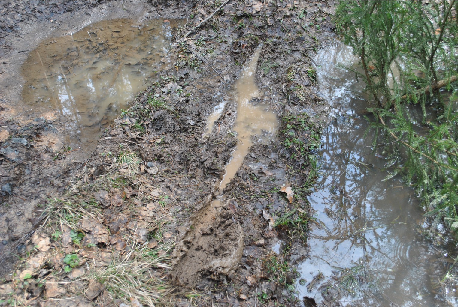 DSC_0843.jpg