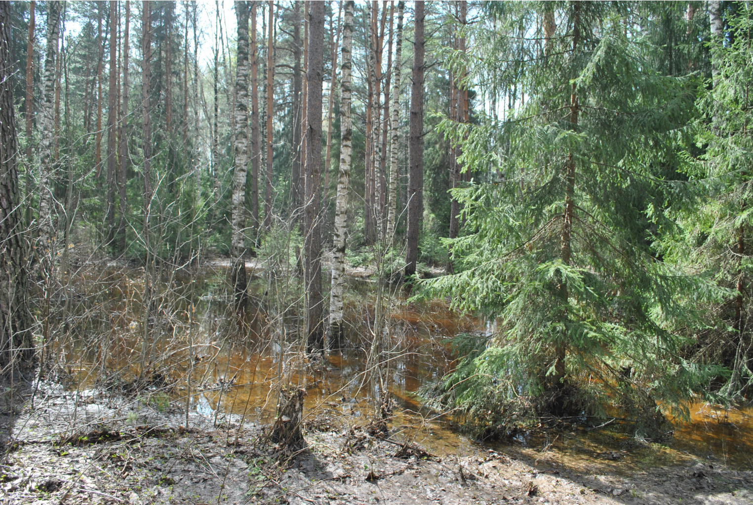 DSC_0847.jpg