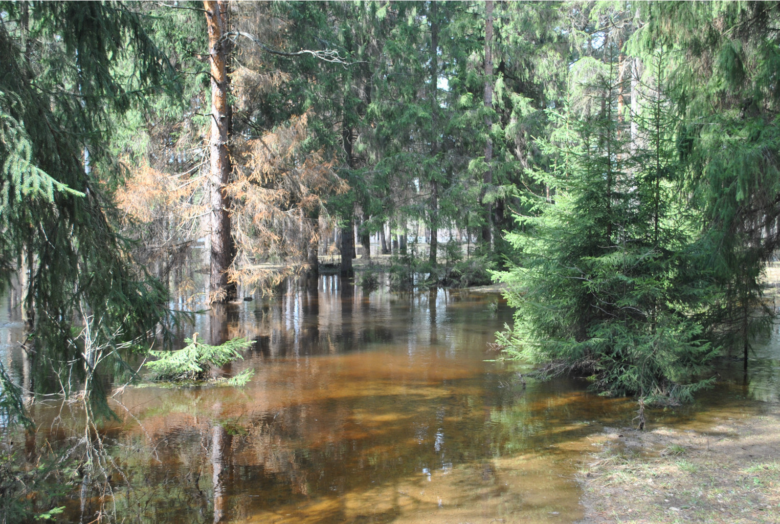 DSC_0850.jpg