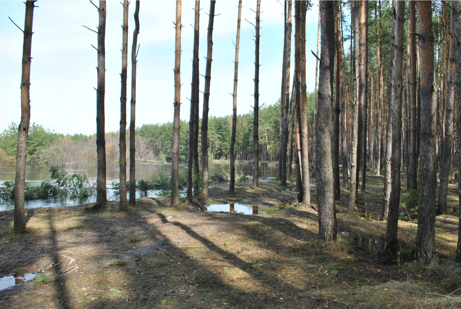 DSC_0858.jpg
