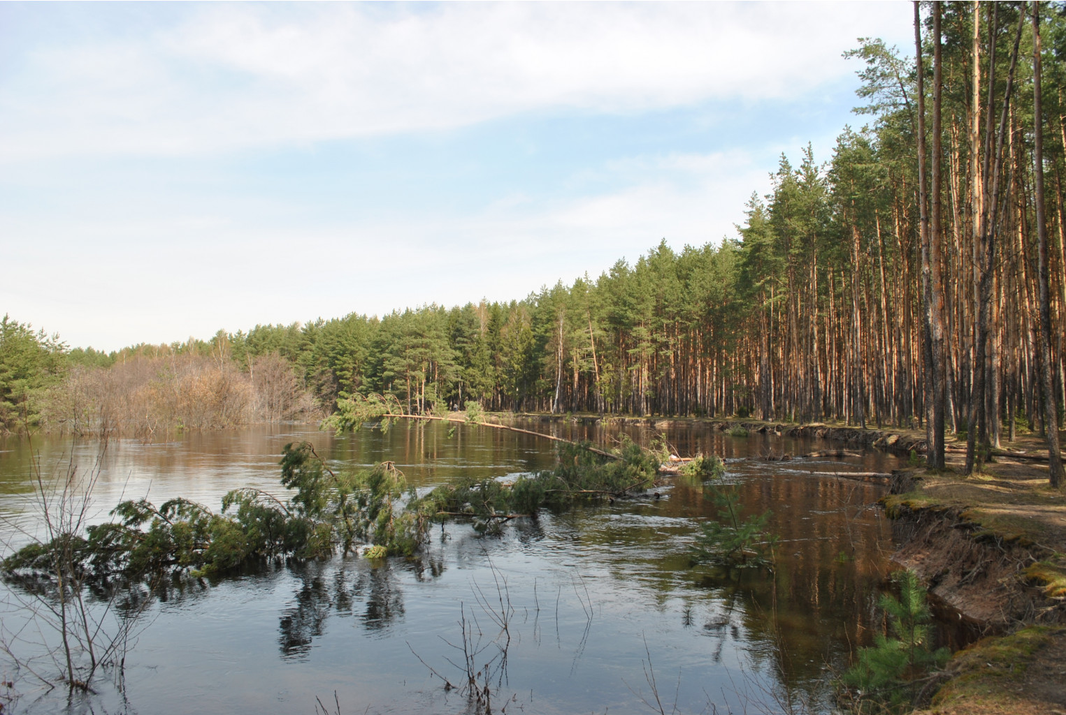 DSC_0863.jpg
