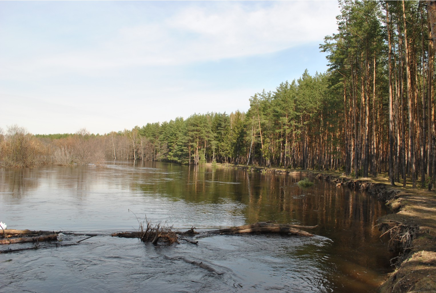 DSC_0865.jpg
