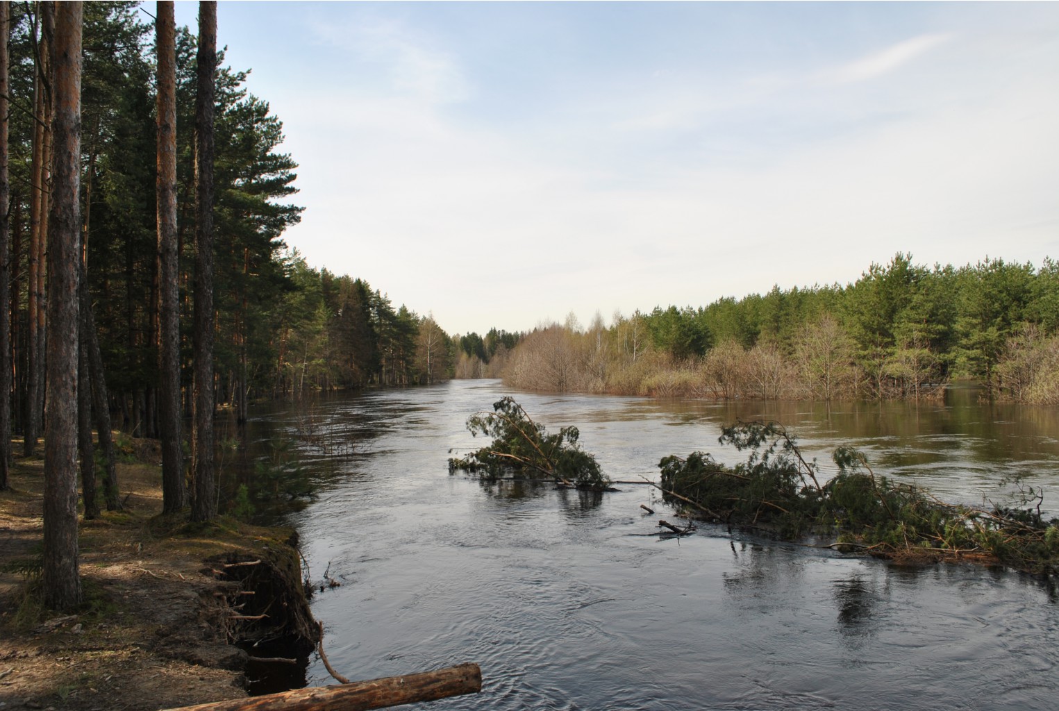 DSC_0868.jpg