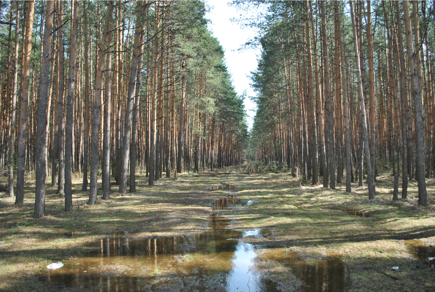 DSC_0872.jpg