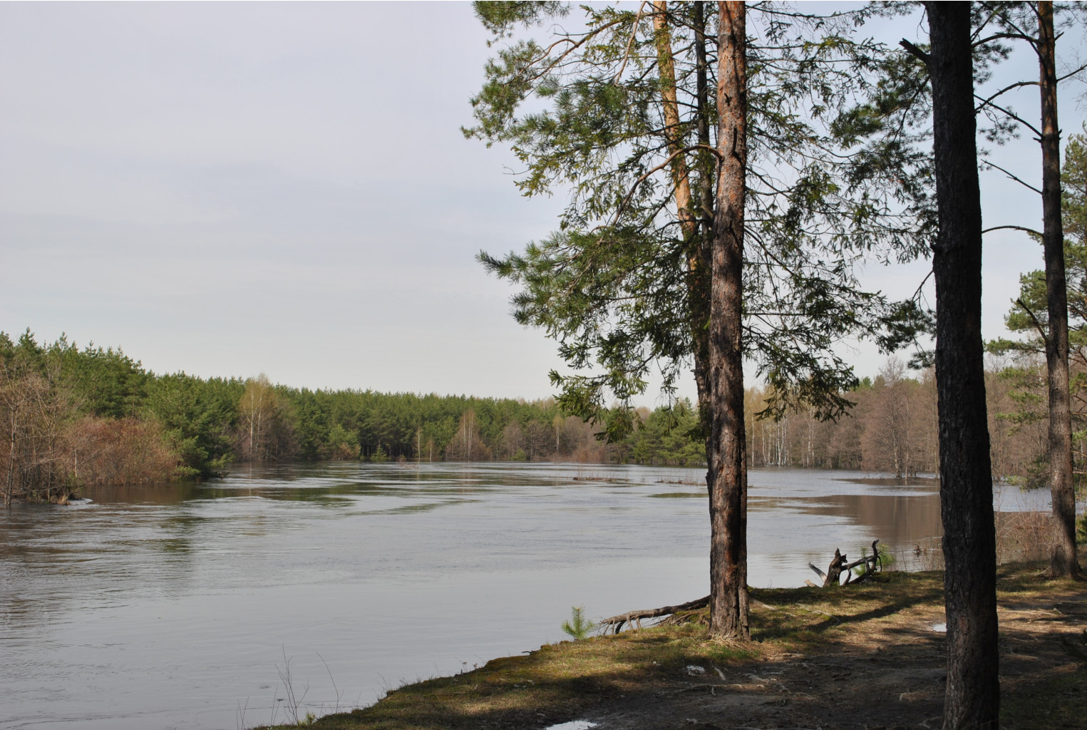 DSC_0874.jpg