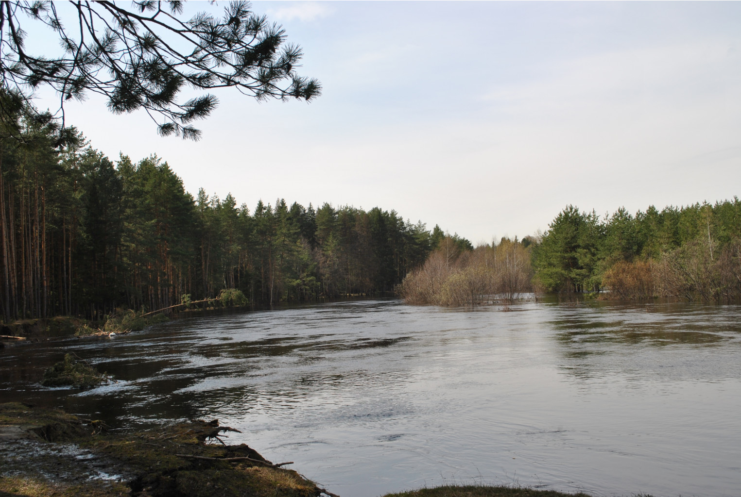 DSC_0876.jpg