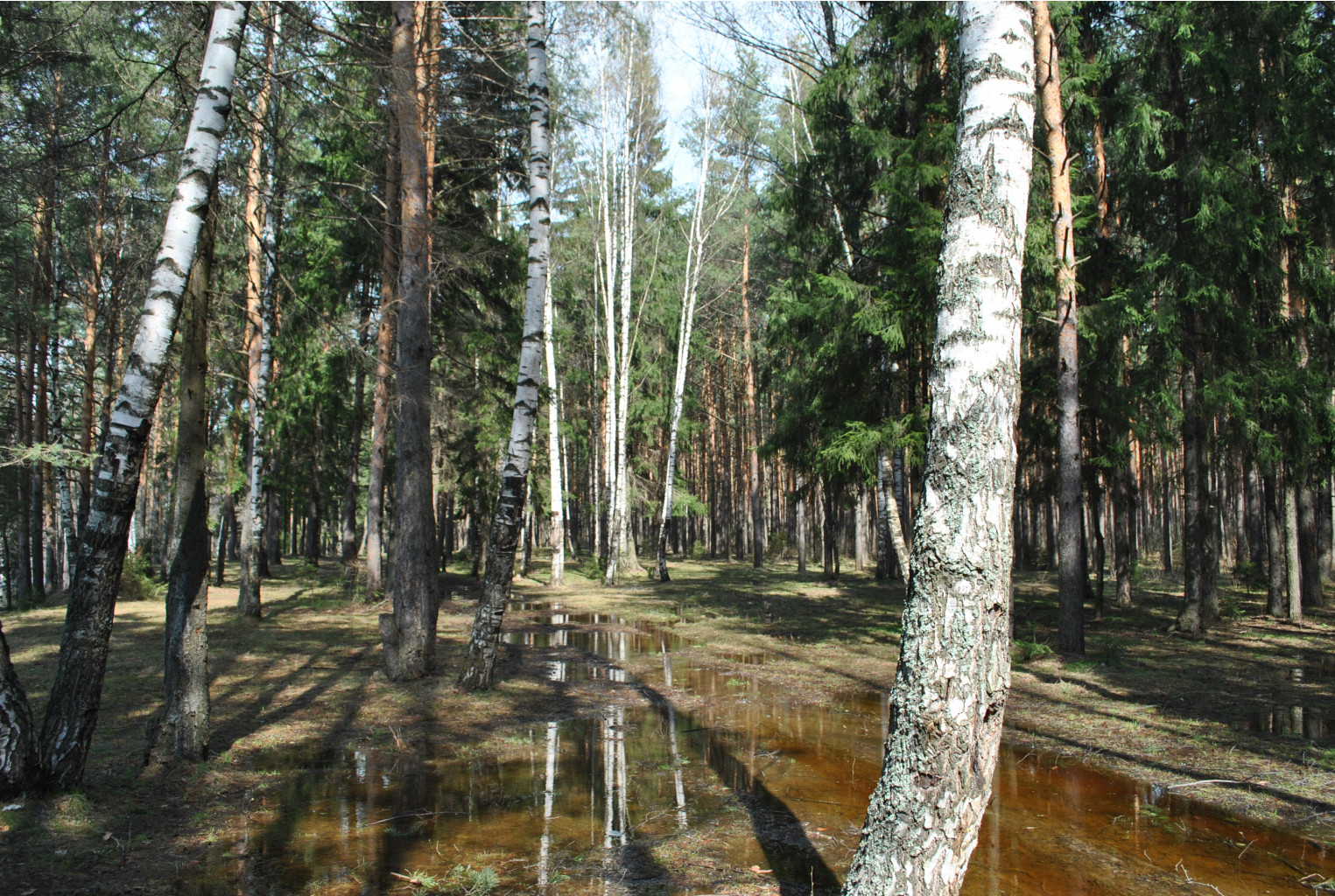 DSC_0877.jpg