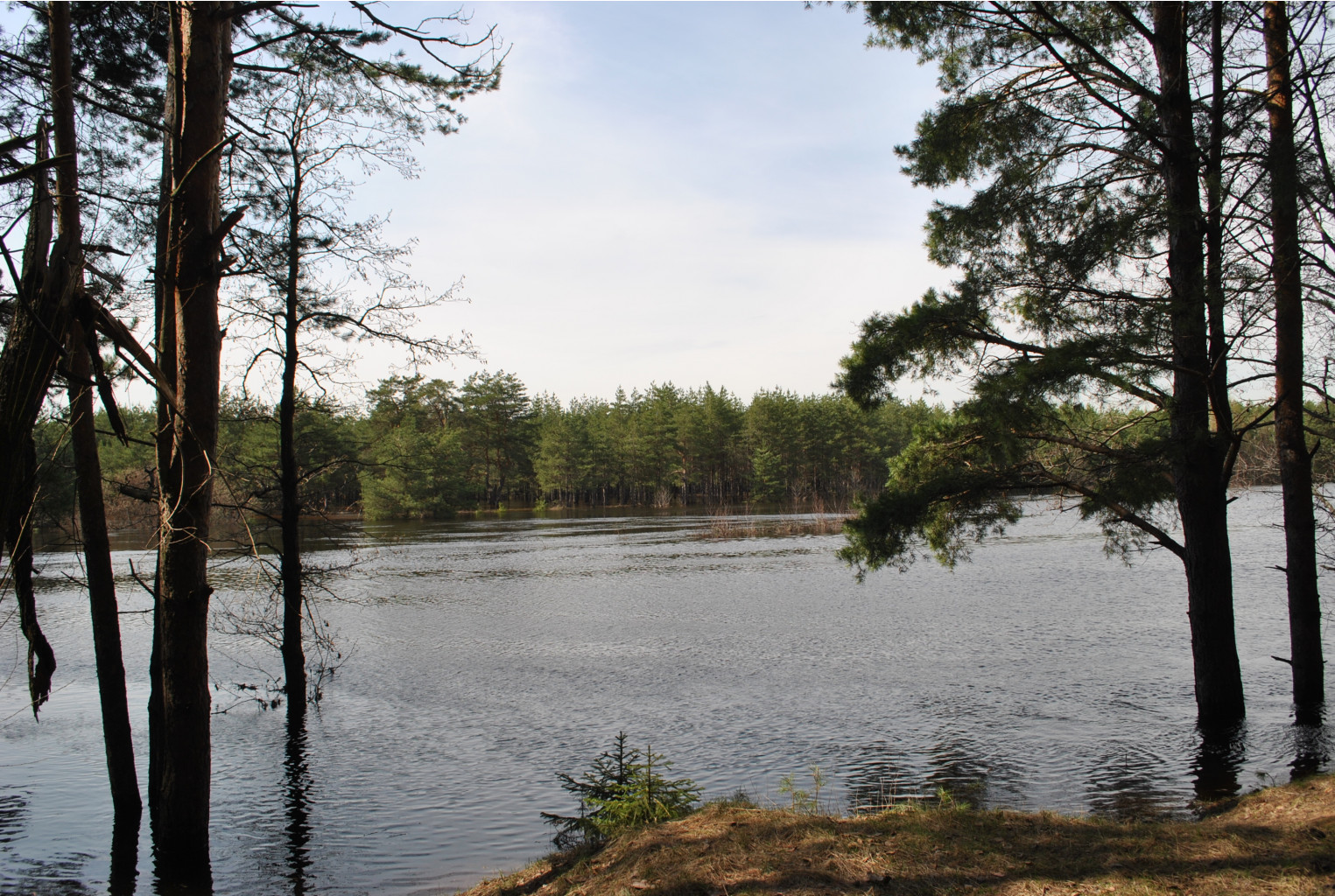 DSC_0879.jpg
