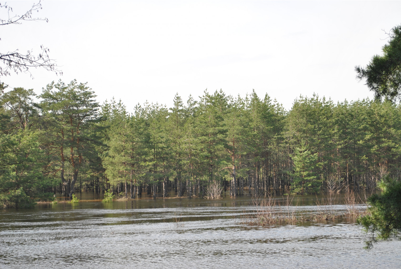 DSC_0880.jpg