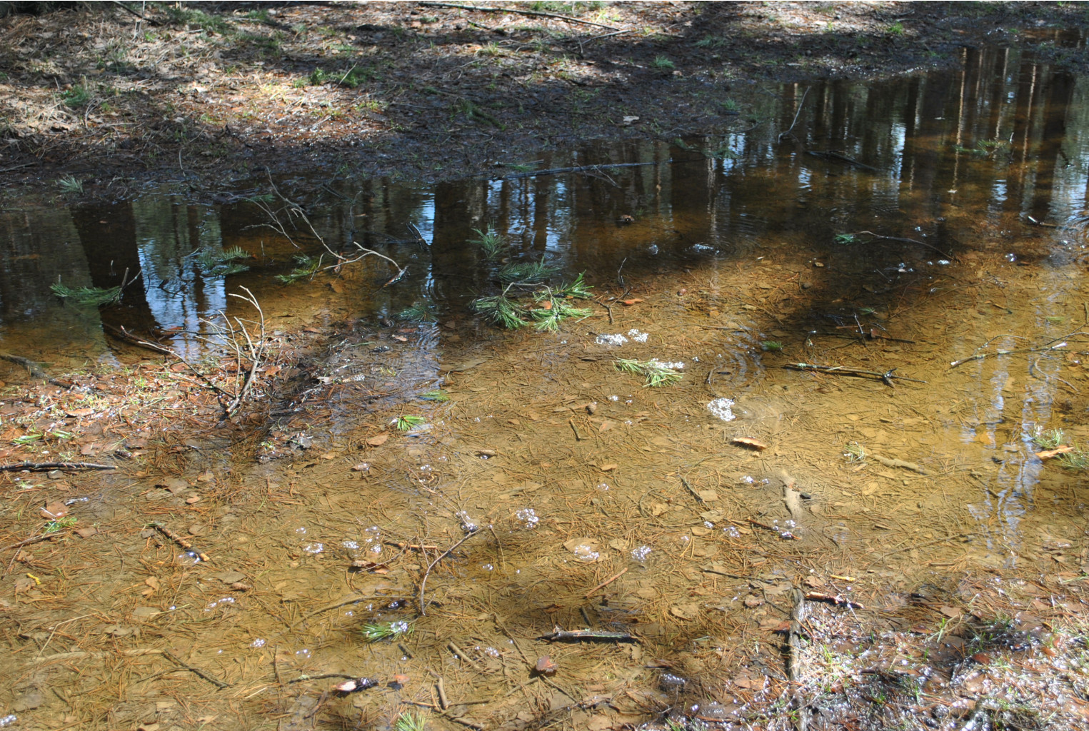 DSC_0883.jpg