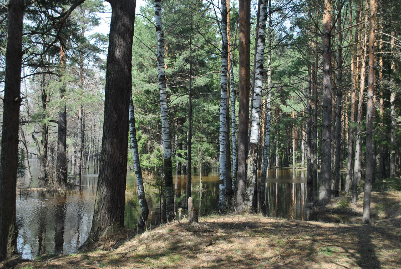 DSC_0897.jpg