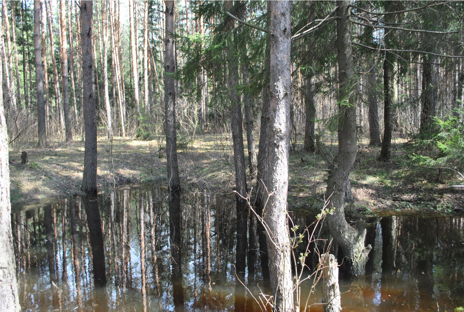 DSC_0900.jpg