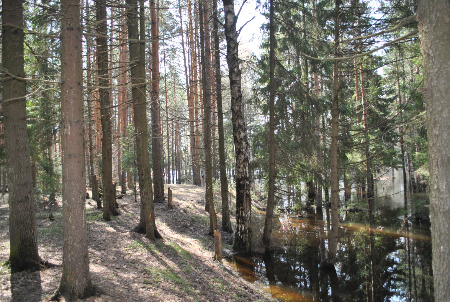 DSC_0904.jpg