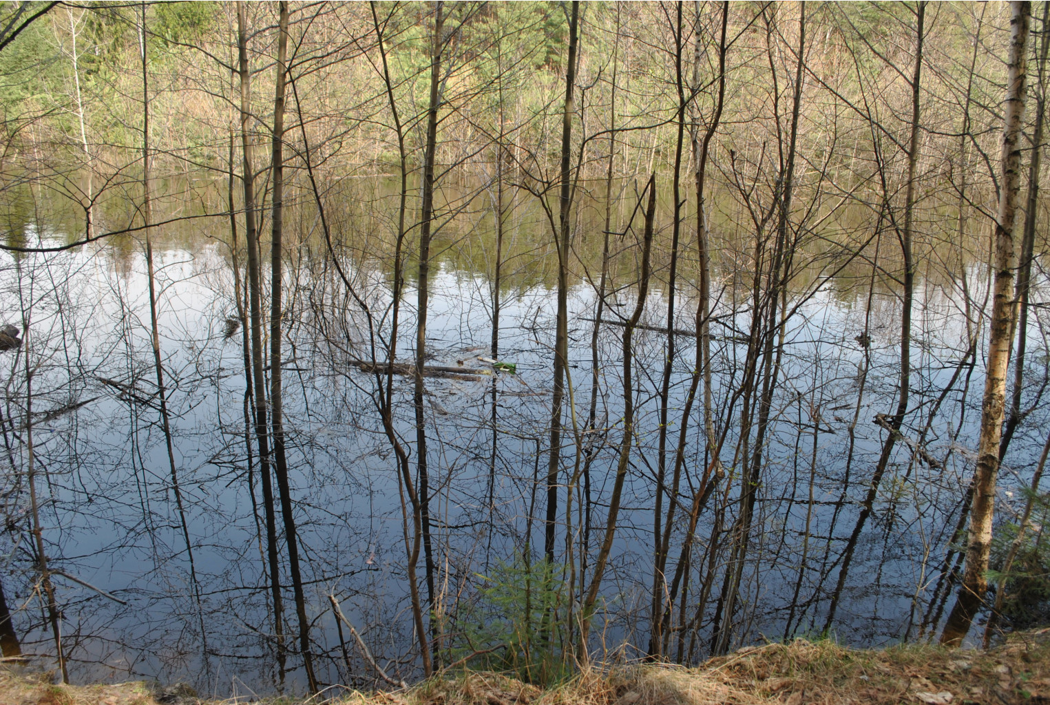DSC_0909.jpg