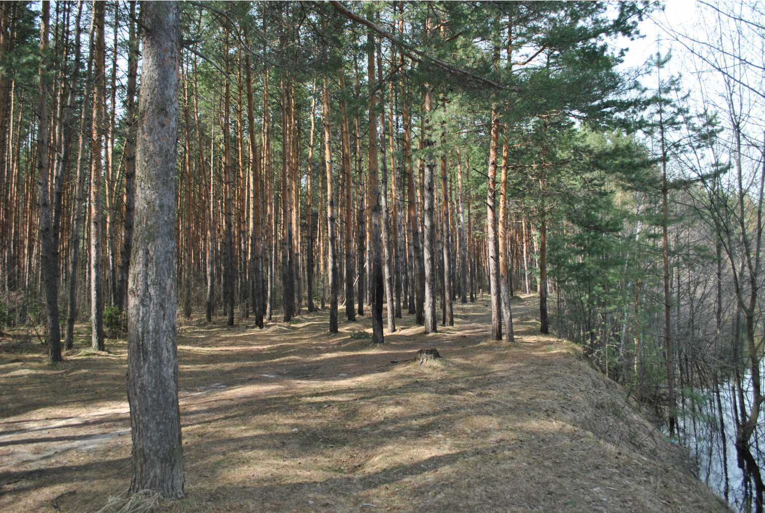DSC_0911.jpg