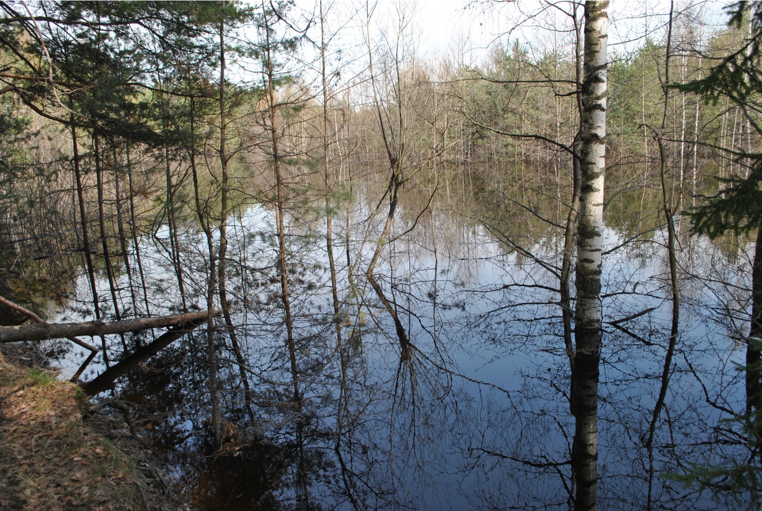 DSC_0912.jpg