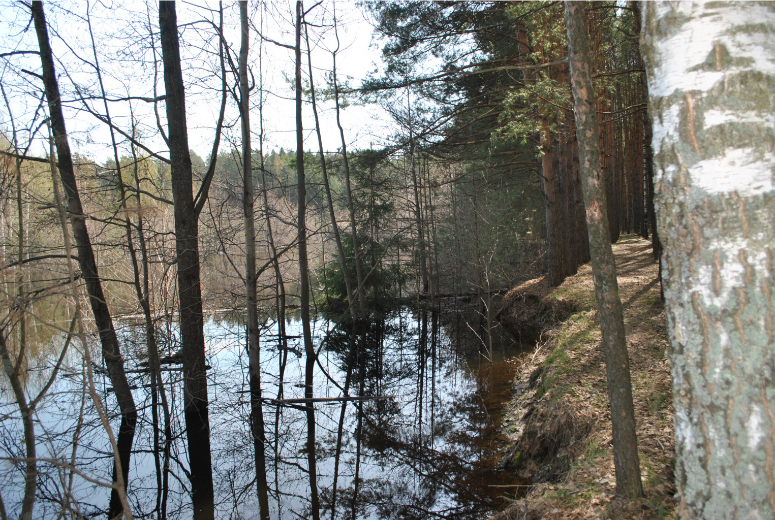 DSC_0913.jpg