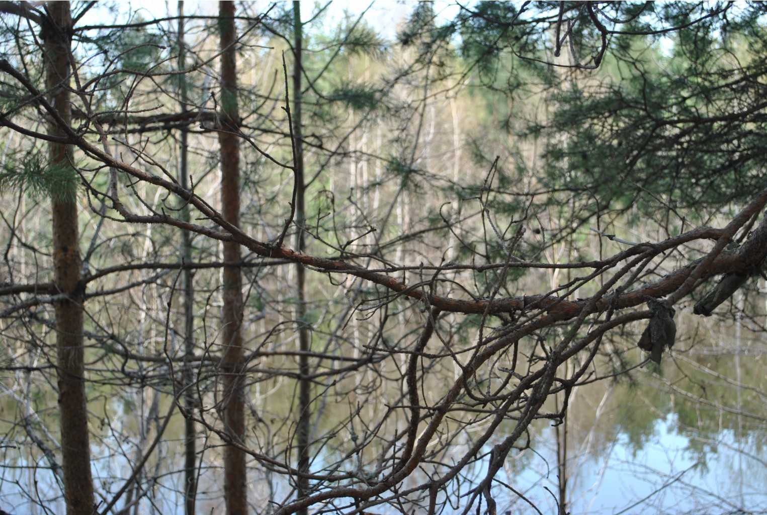 DSC_0918.jpg