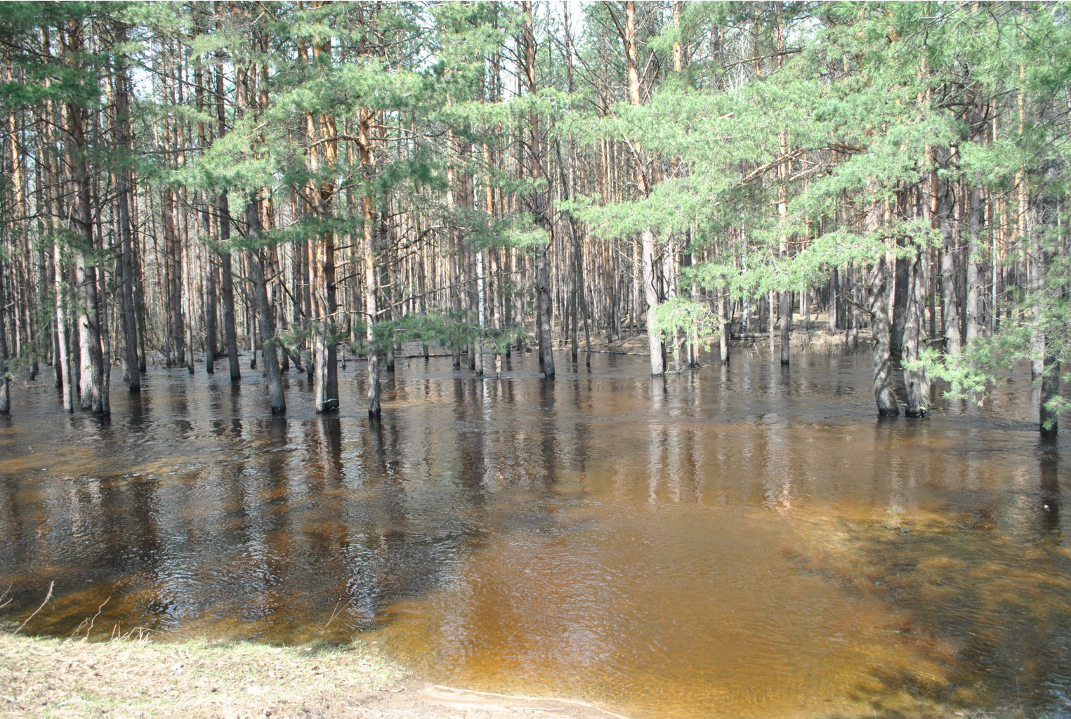 DSC_0922.jpg