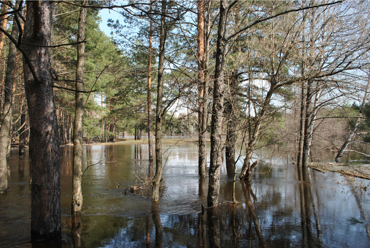 DSC_0925.jpg
