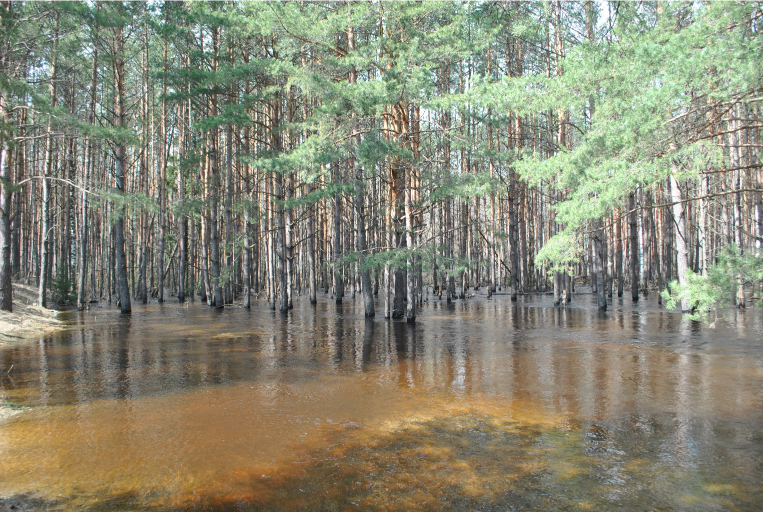 DSC_0926.jpg