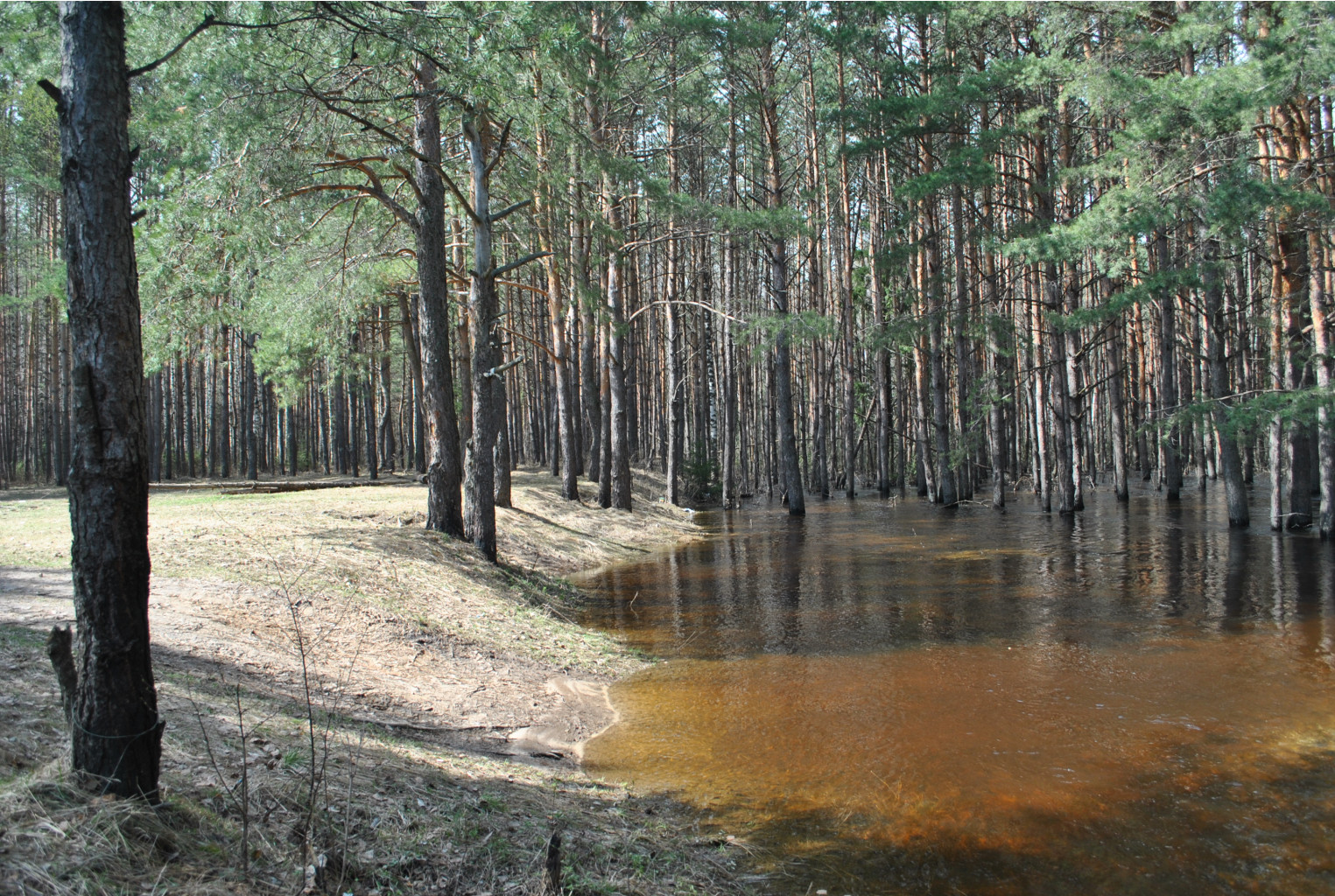 DSC_0927.jpg