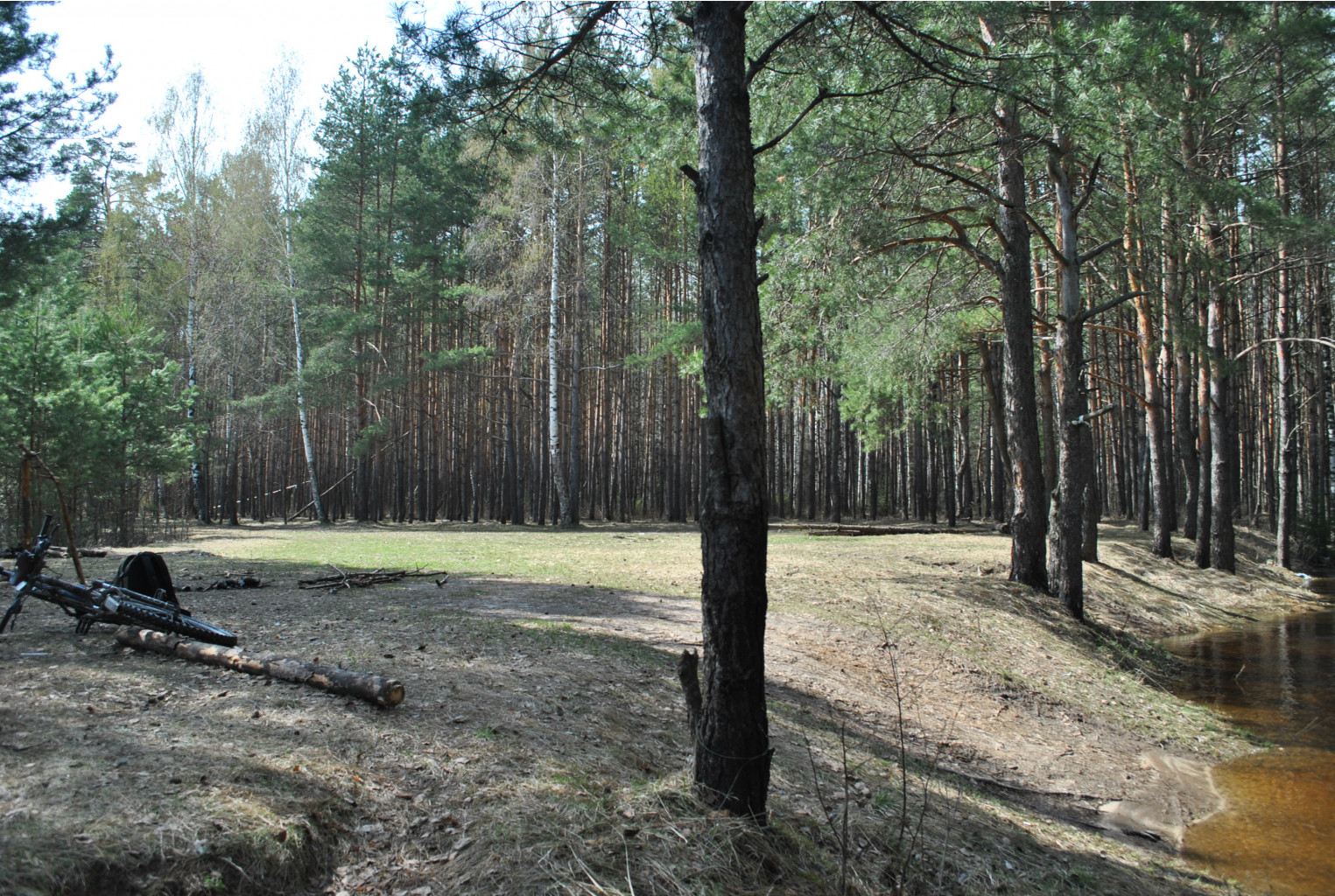 DSC_0928.jpg