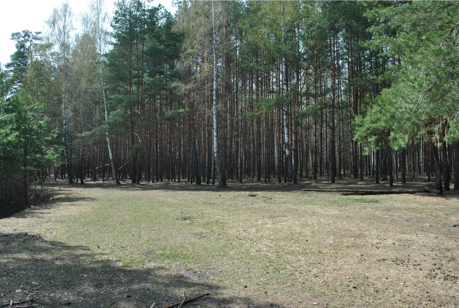 DSC_0935.jpg