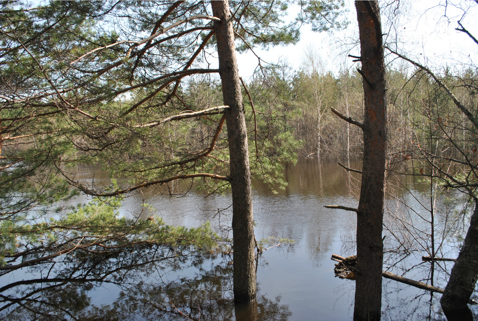 DSC_0936.jpg
