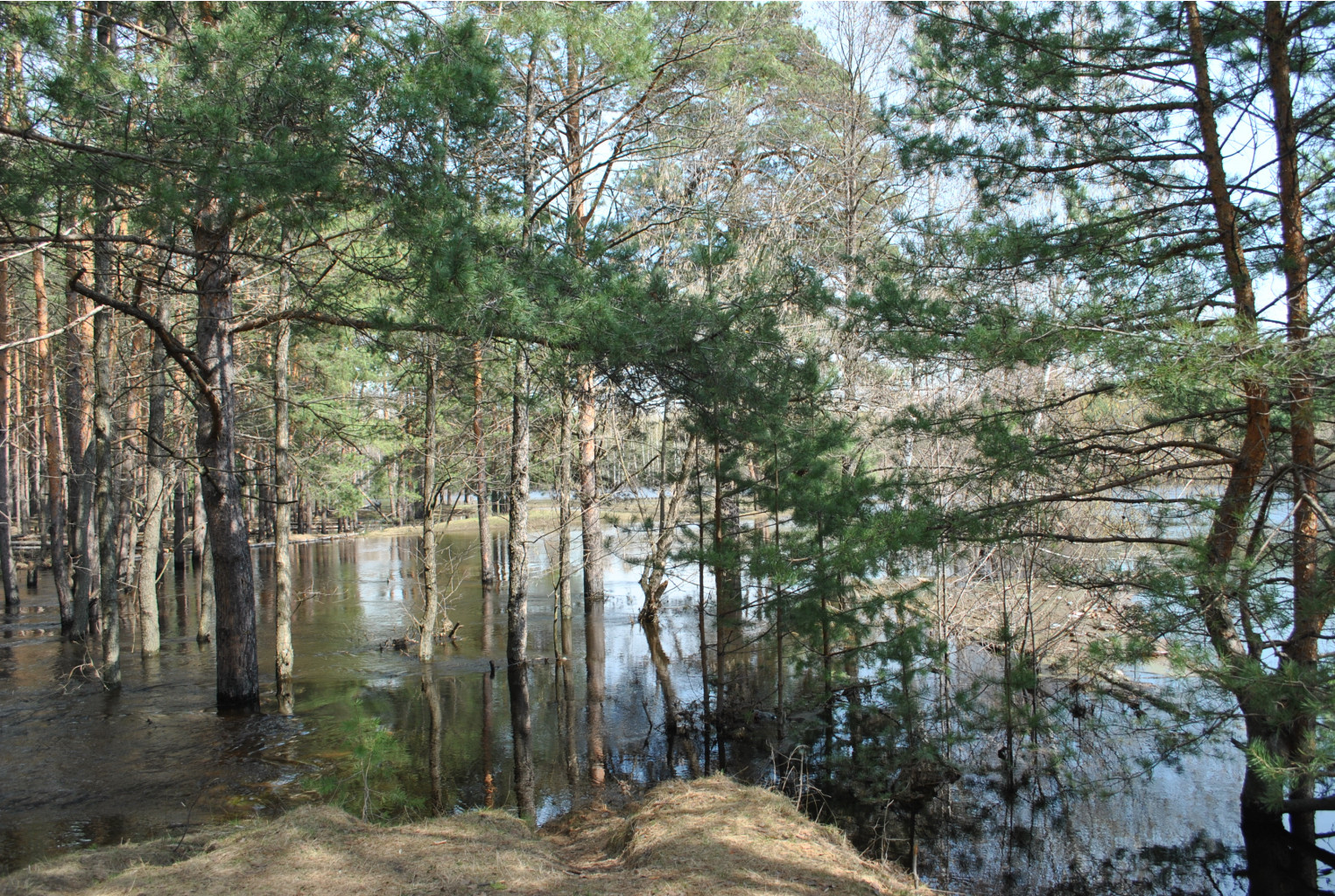 DSC_0937.jpg