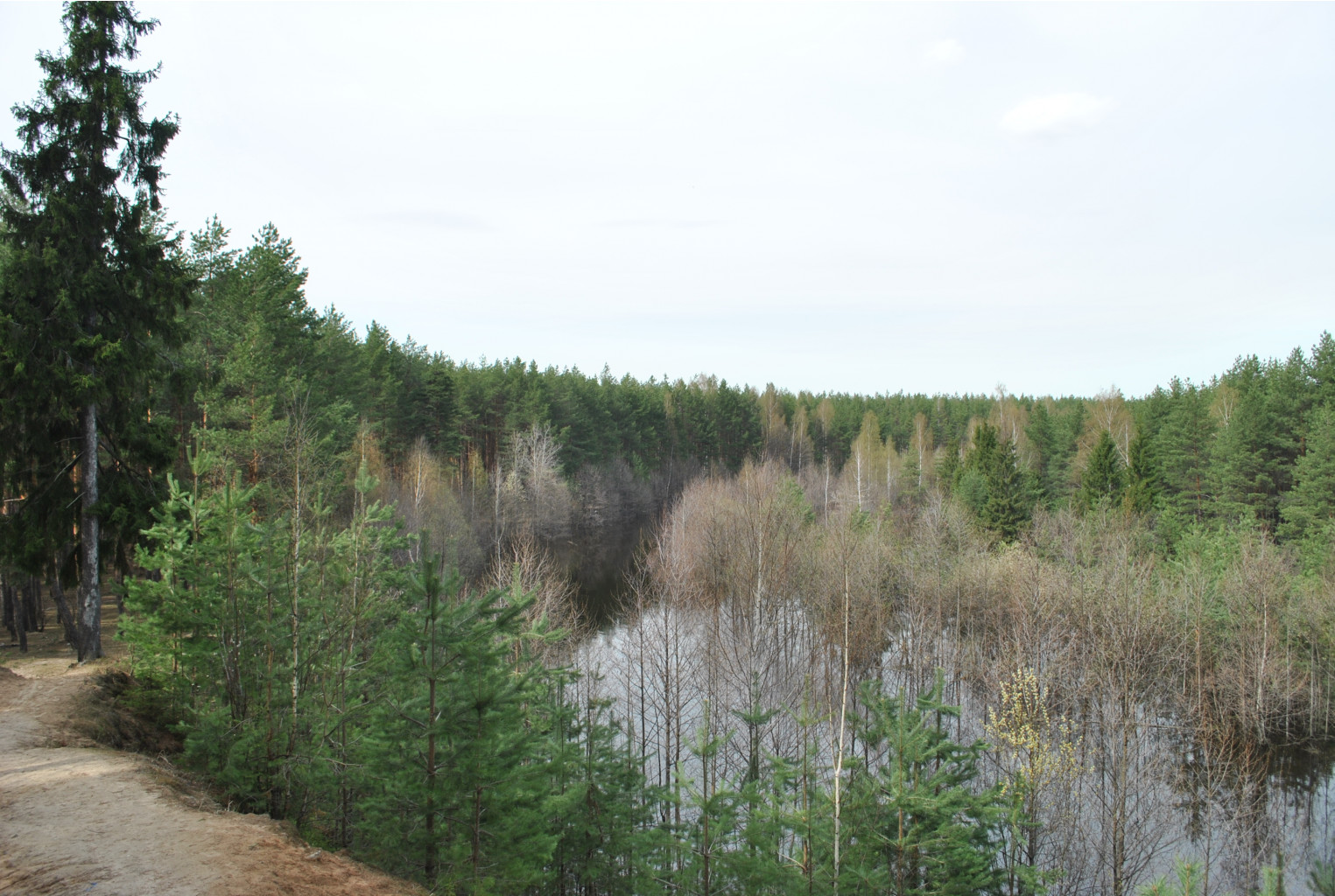 DSC_0942.jpg
