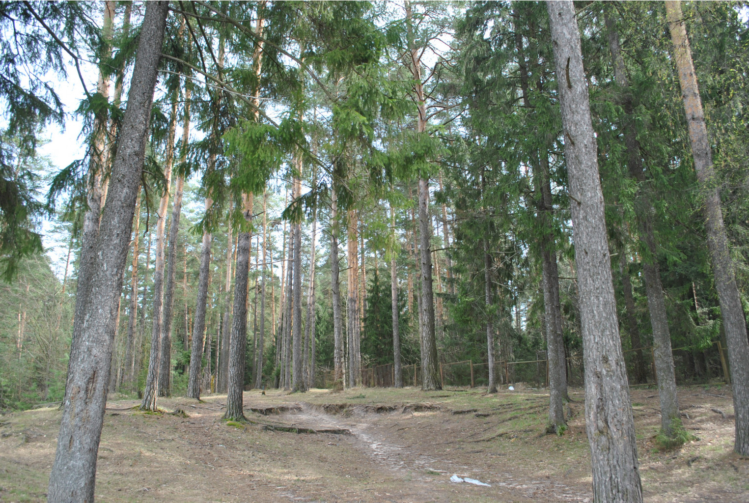 DSC_0944.jpg