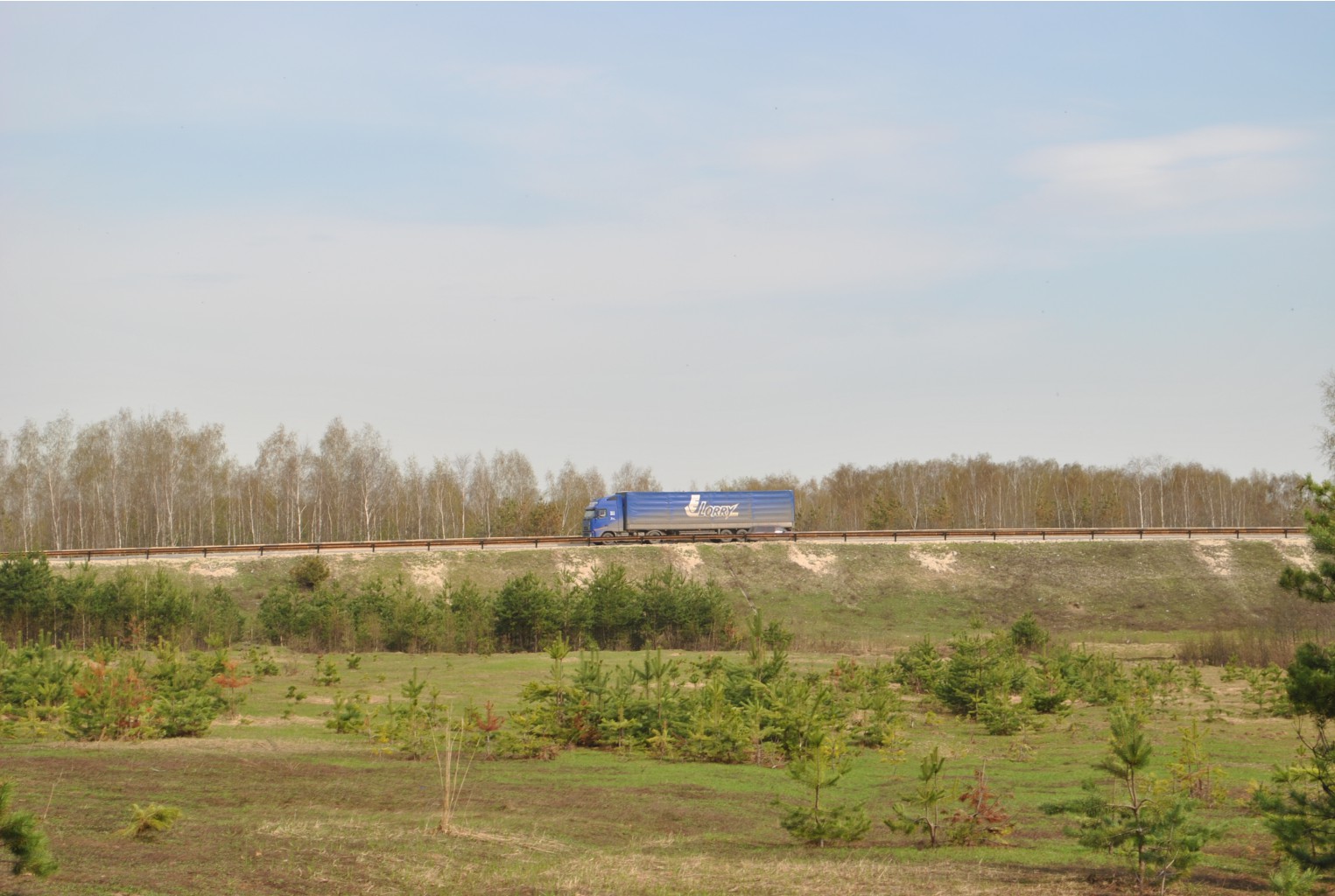 DSC_0947.jpg