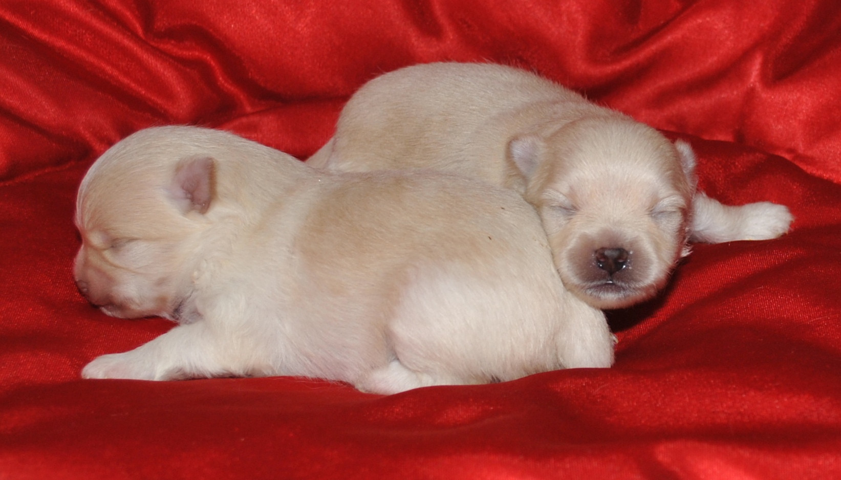 DSC_0436.jpg