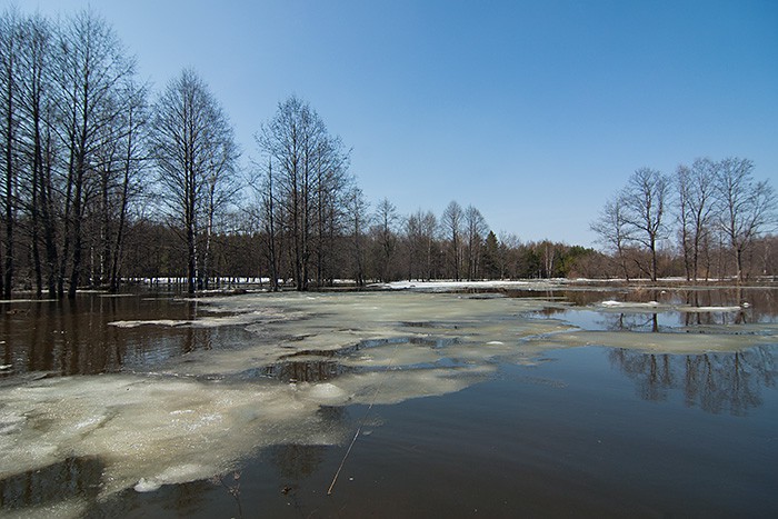 _DSC9334.jpg