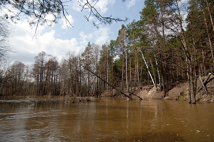 _DSC9396.jpg
