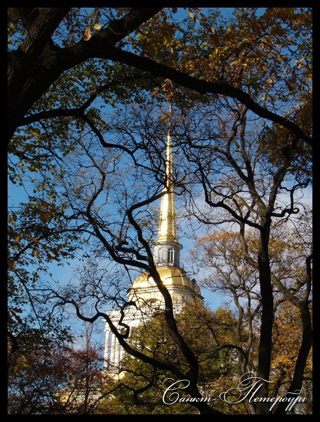 09.02.2009 17:06:14
