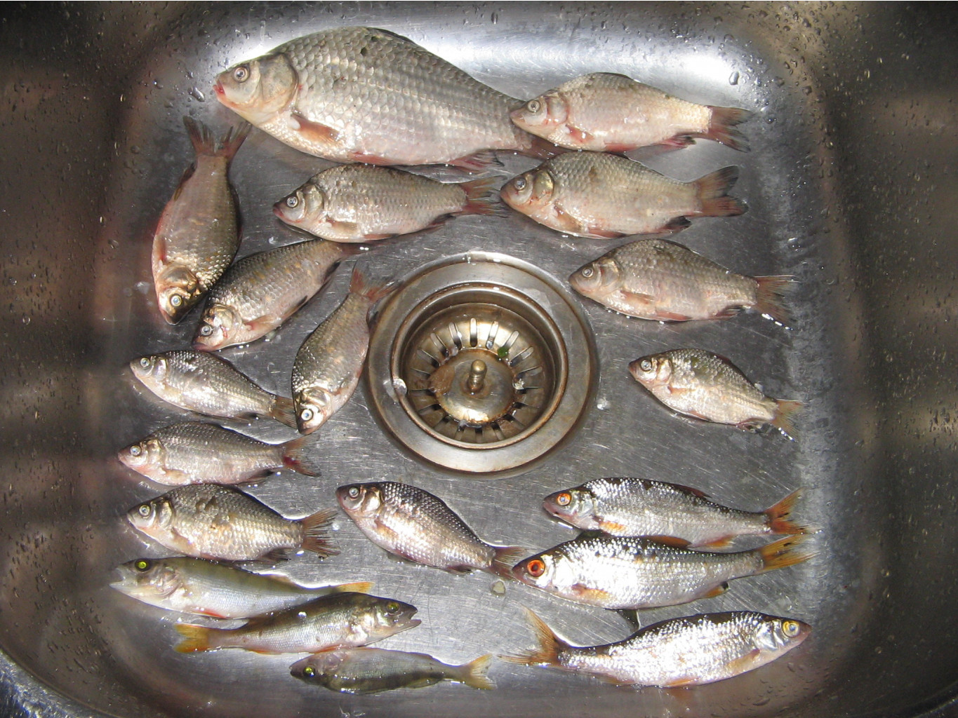 05.09.2010 18:08:53