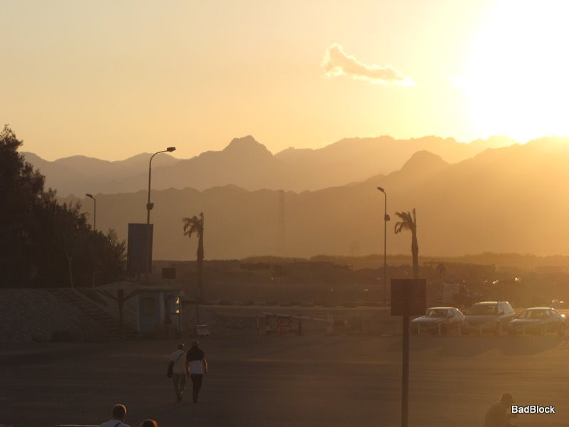 IMG_6090.JPG