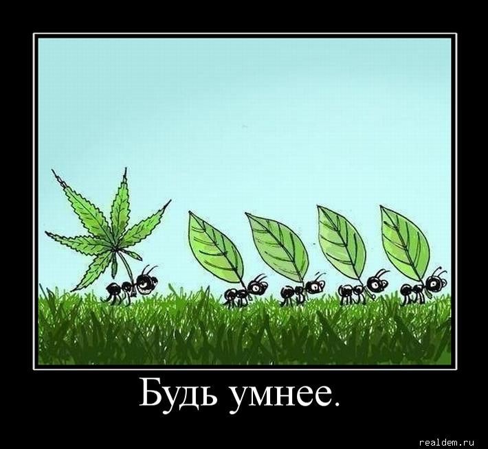 06.09.2010 12:01:29