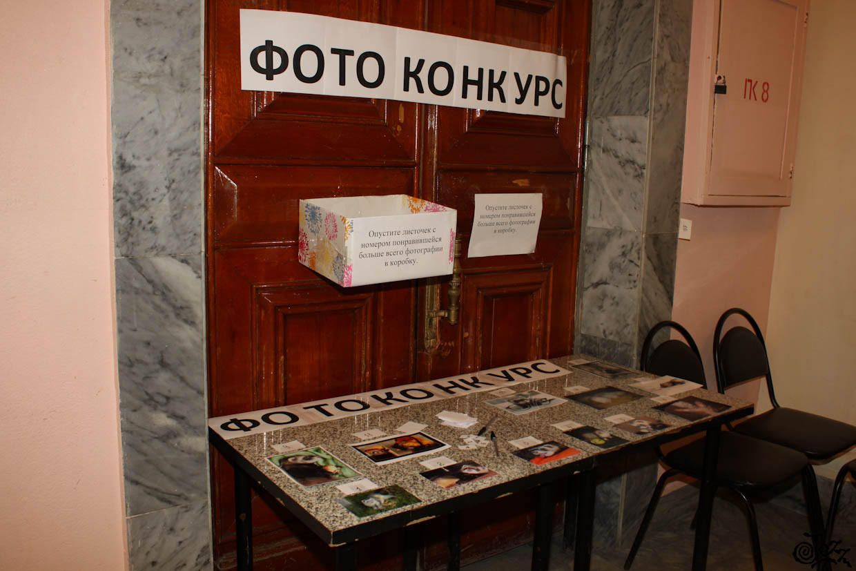 IMG_9600.jpg