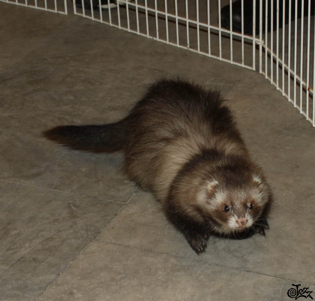 IMG_9844.jpg