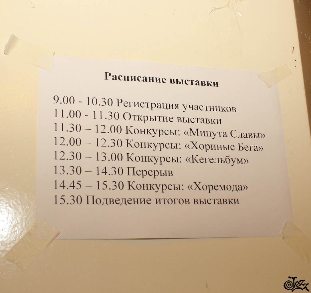 IMG_9883.jpg