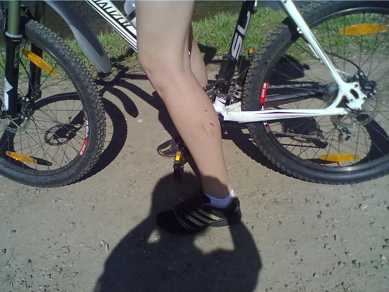 280420124865.jpg